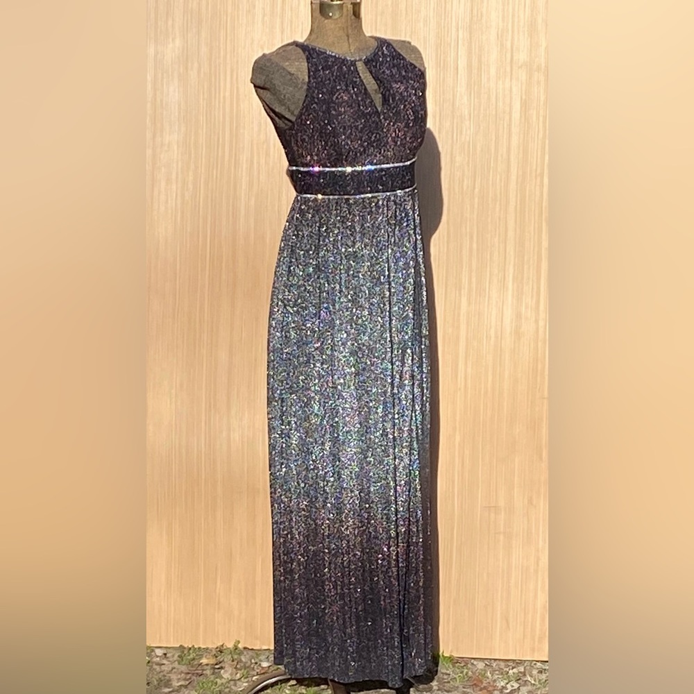 NWT R&M Richard’s Dress Sz 4P